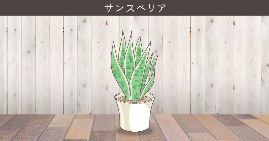 金運を呼ぶおすすめ観葉植物 ① サンスベリア