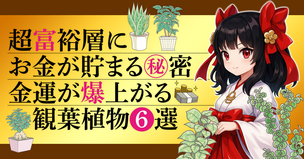 超富裕層にお金が貯まる秘密『金運が爆上がる観葉植物6選』